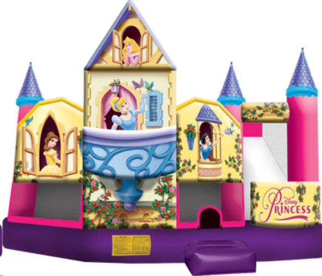 Rental store for 5-In-1 3D Princess in Omaha NE